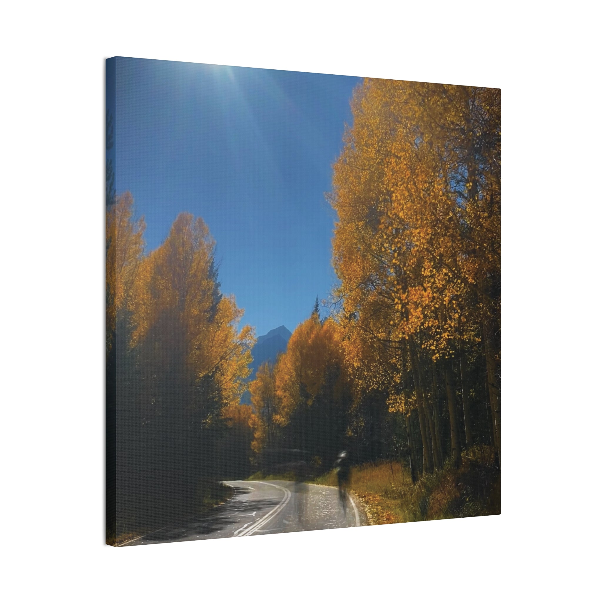 fall maroon bells and bikess
