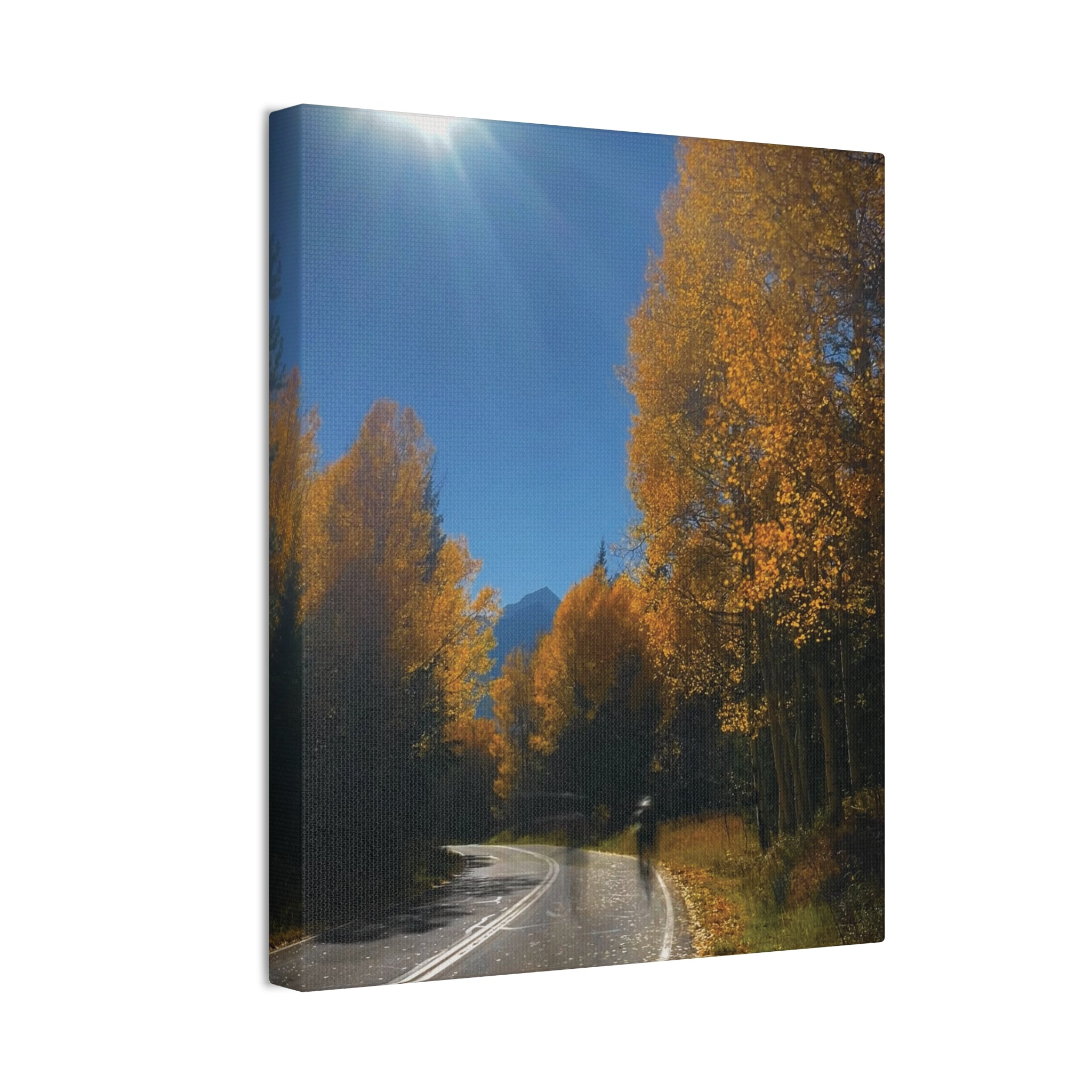 fall maroon bells and bikess
