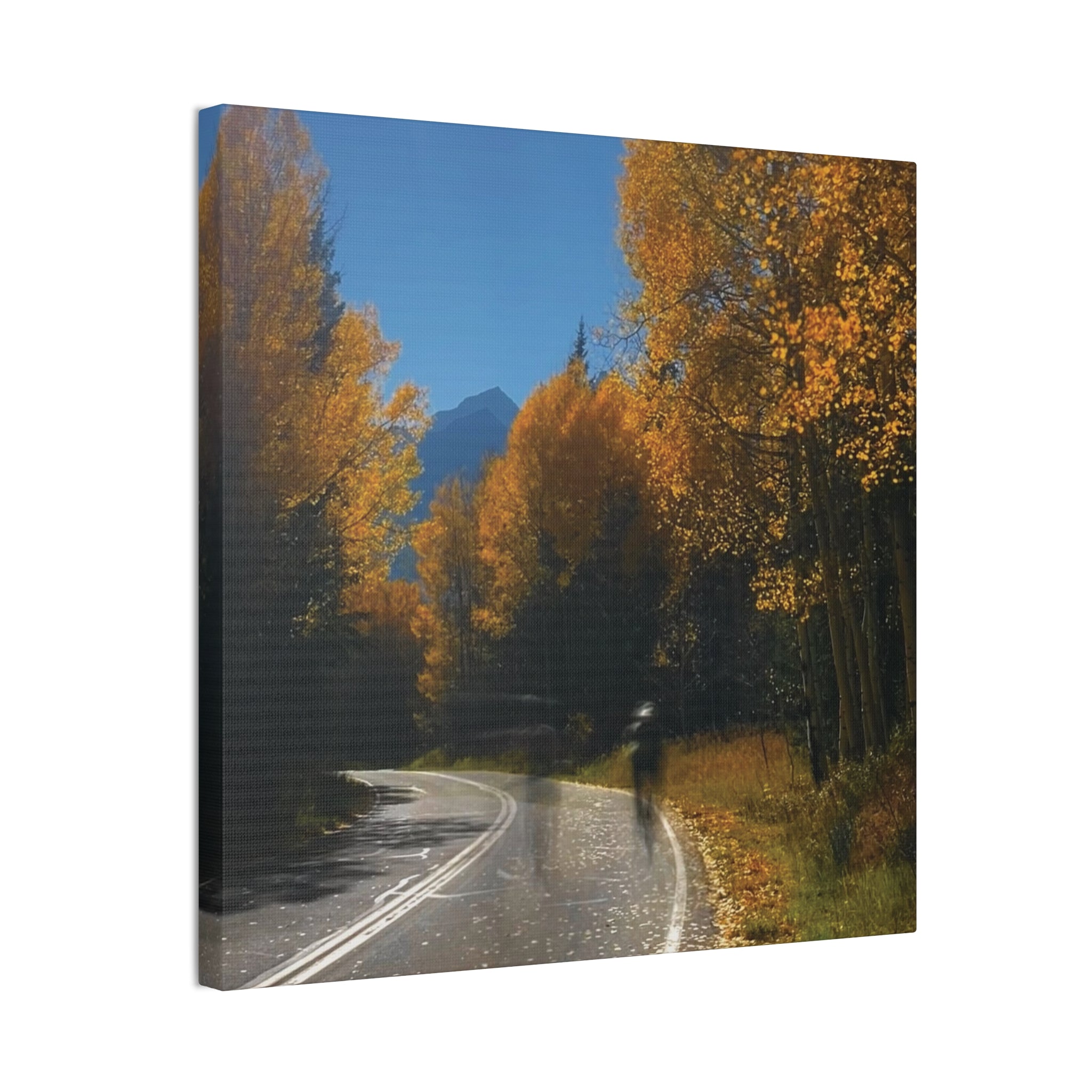 fall maroon bells and bikess