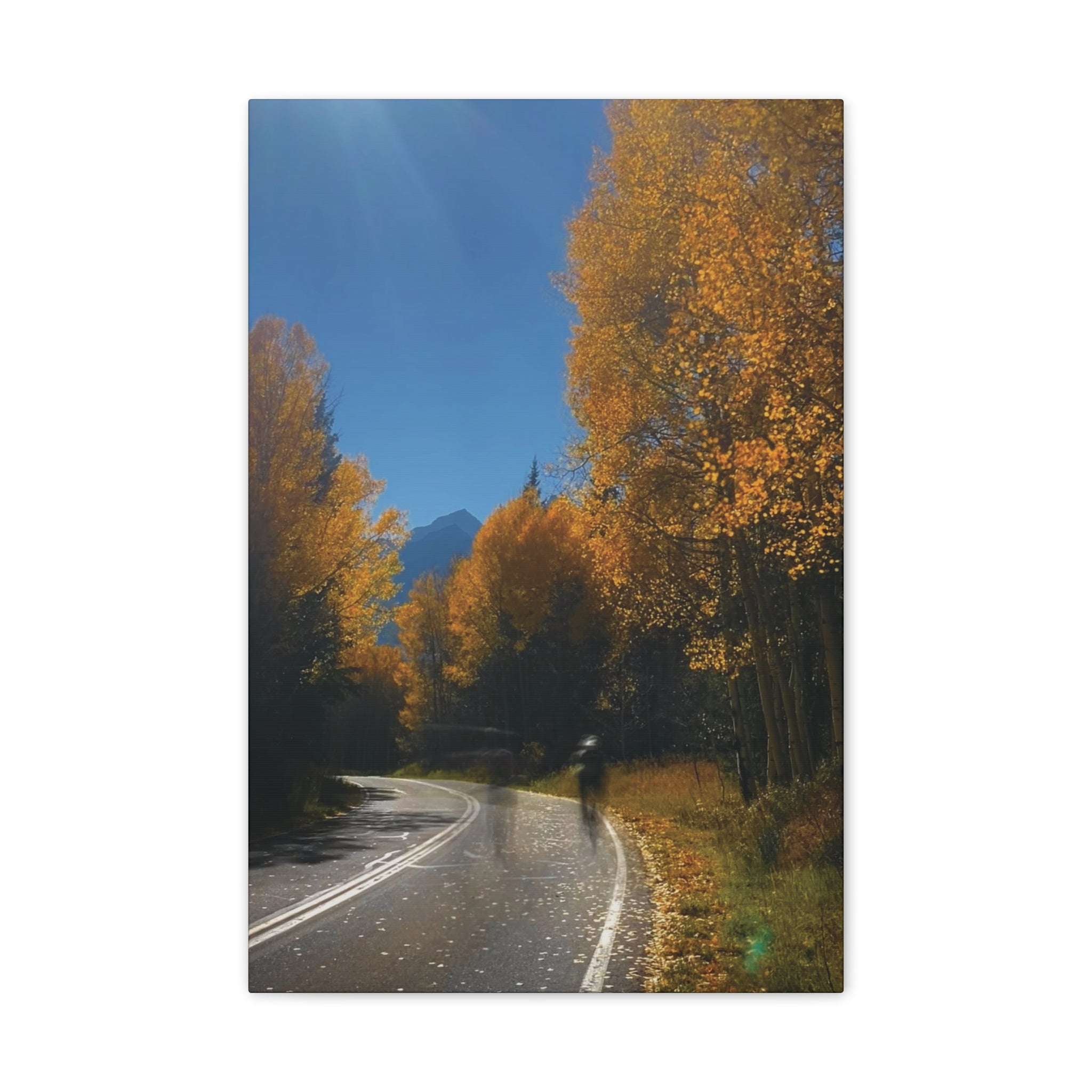 fall maroon bells and bikess