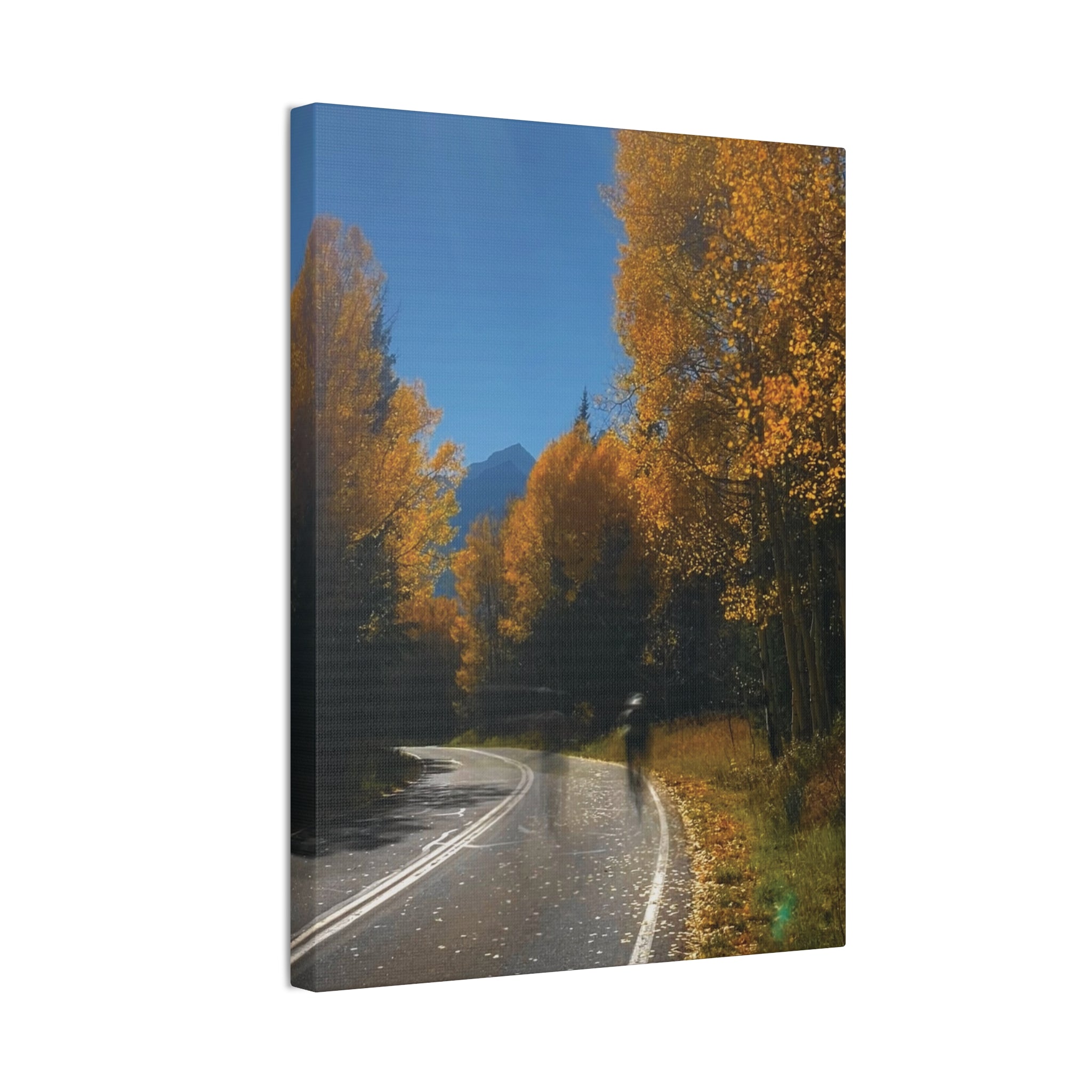 fall maroon bells and bikess