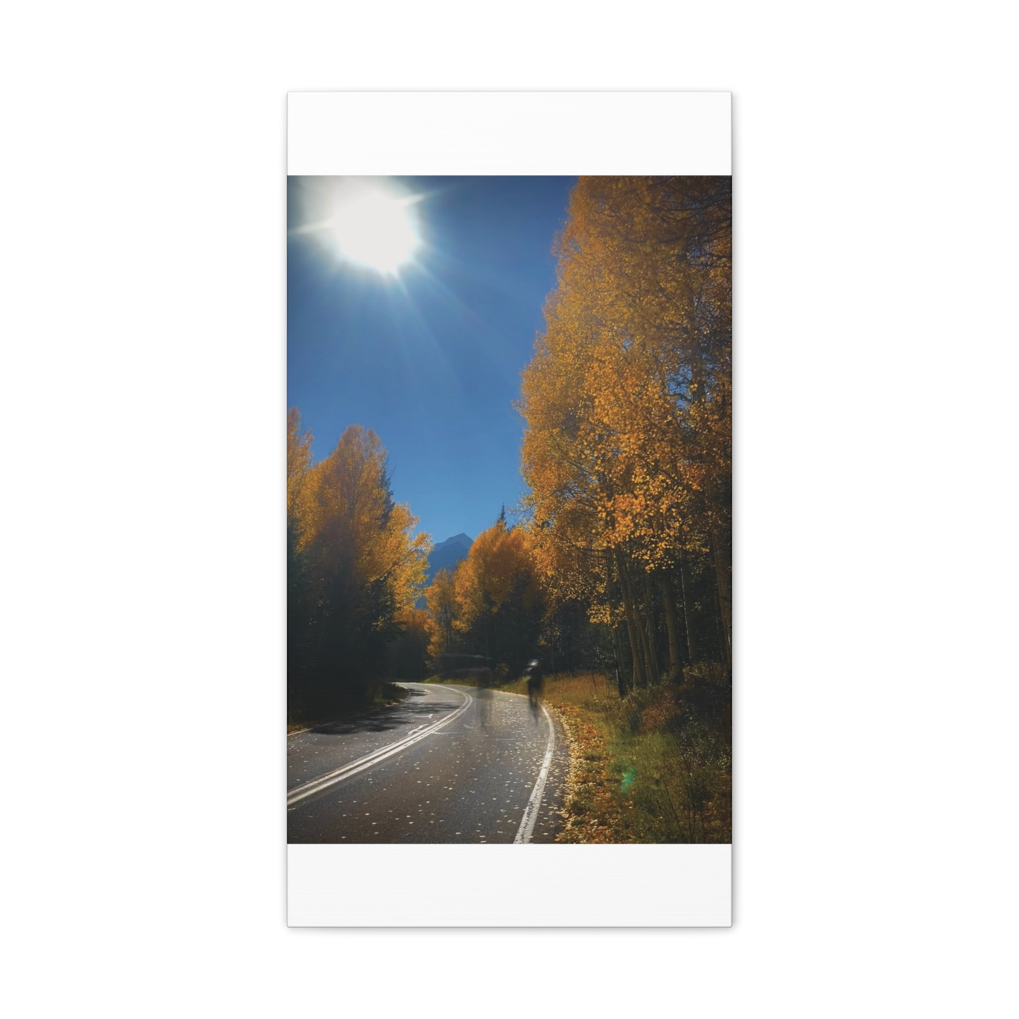 fall maroon bells and bikess