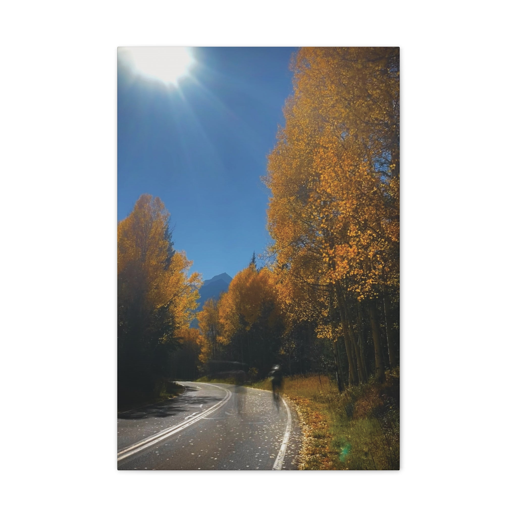 fall maroon bells and bikess