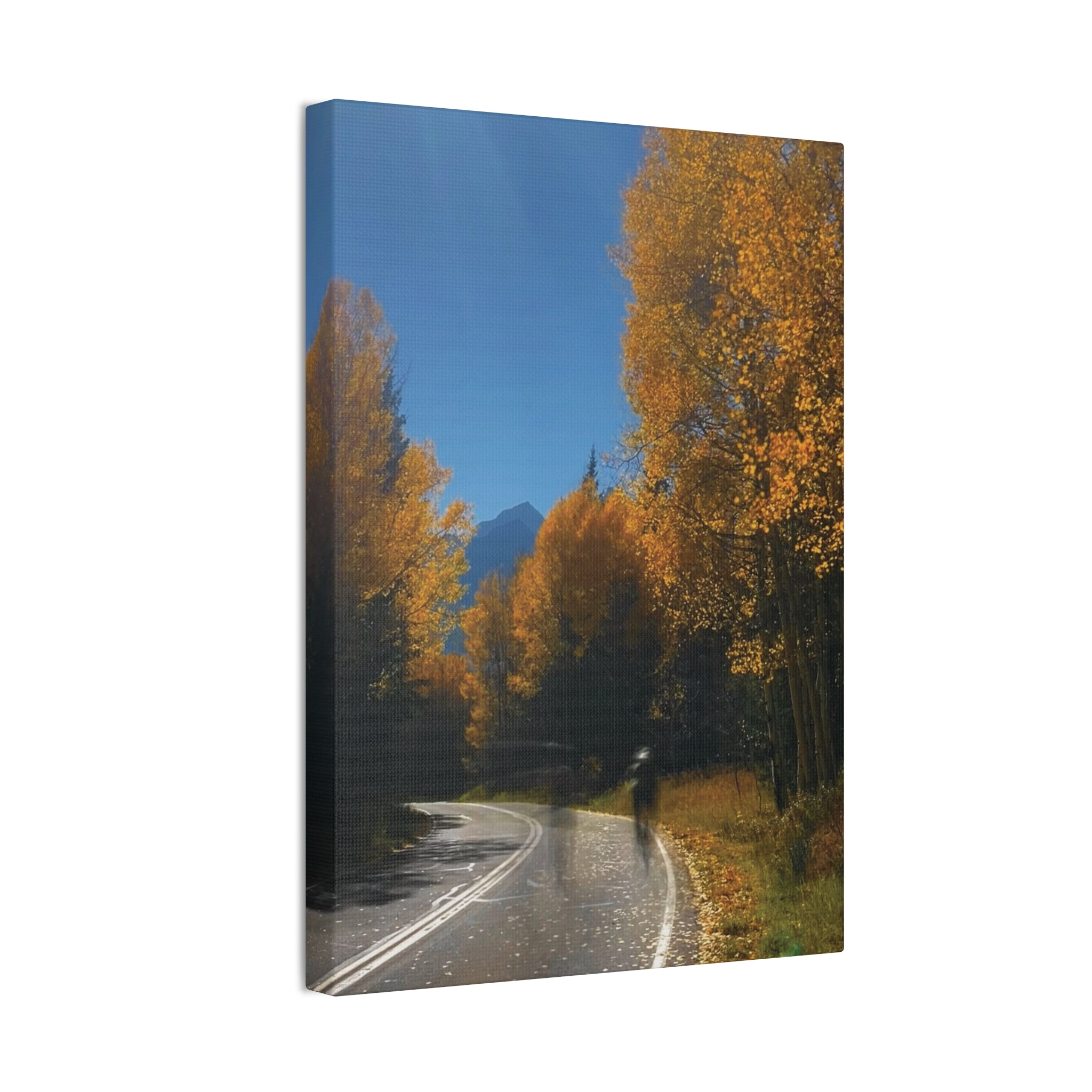 fall maroon bells and bikess