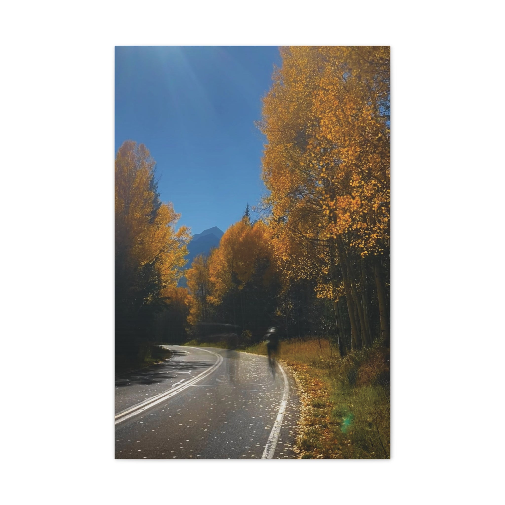 fall maroon bells and bikess