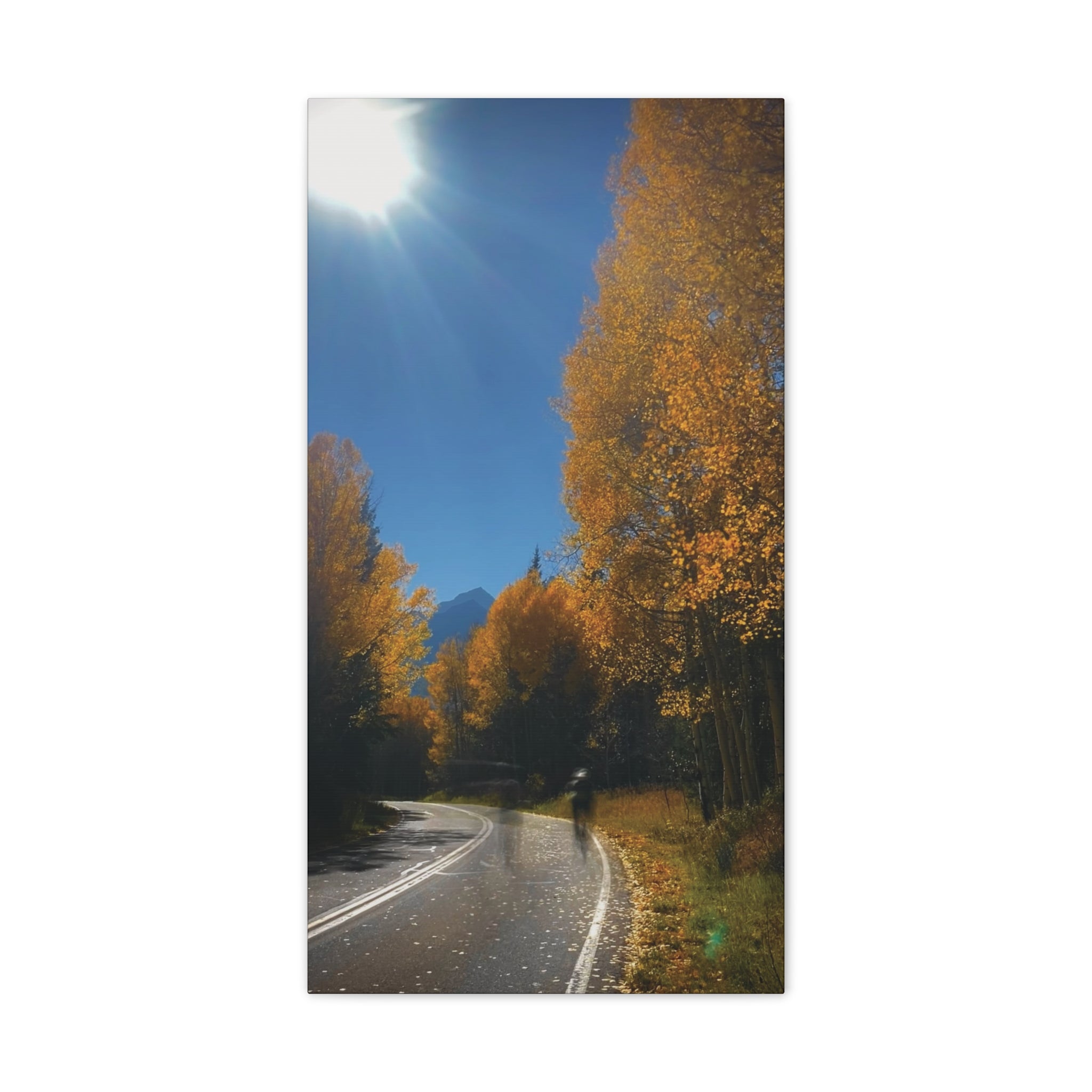 fall maroon bells and bikess