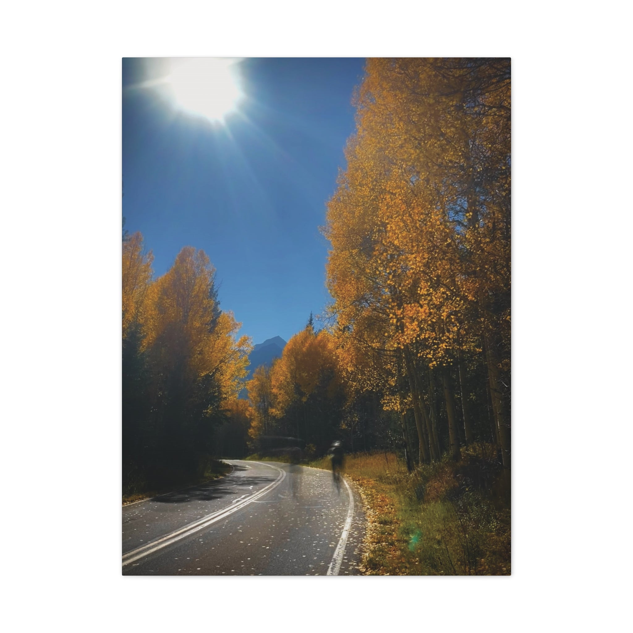 fall maroon bells and bikess