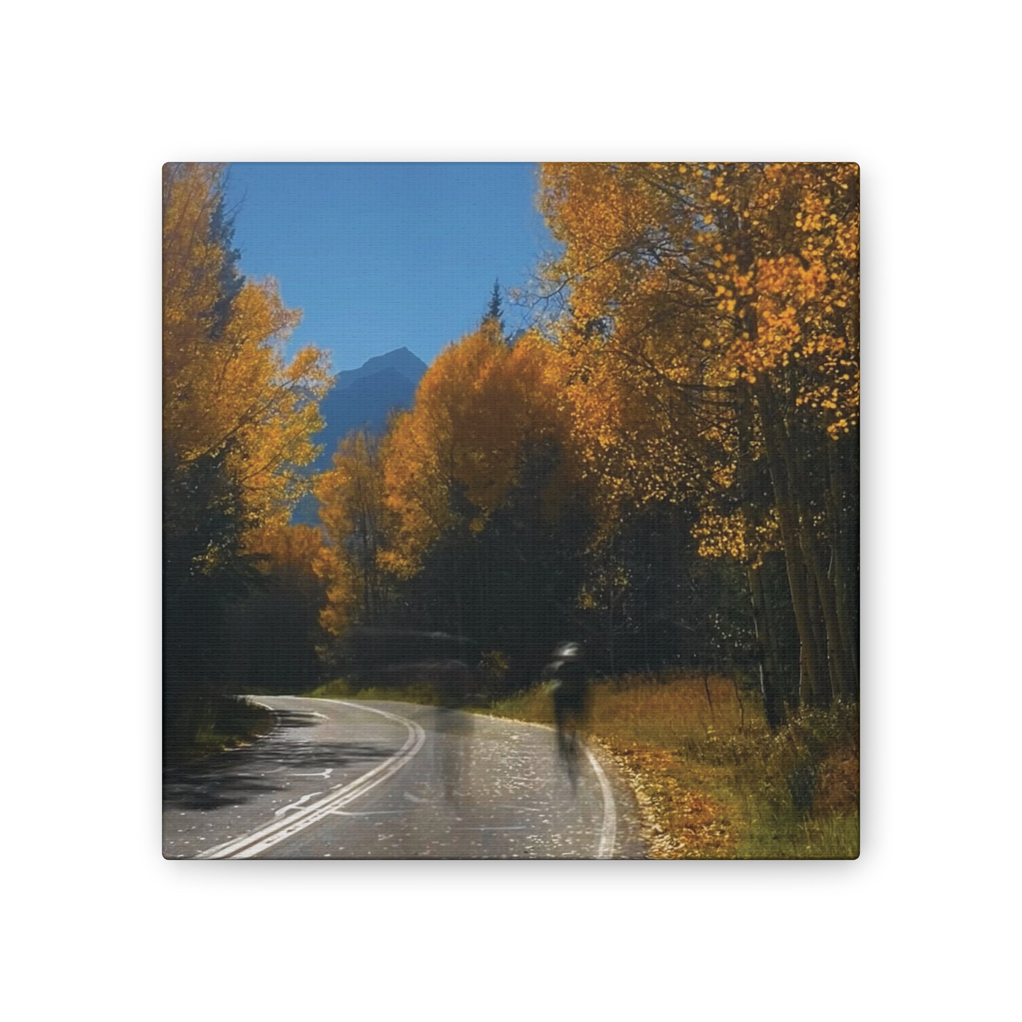 fall maroon bells and bikess