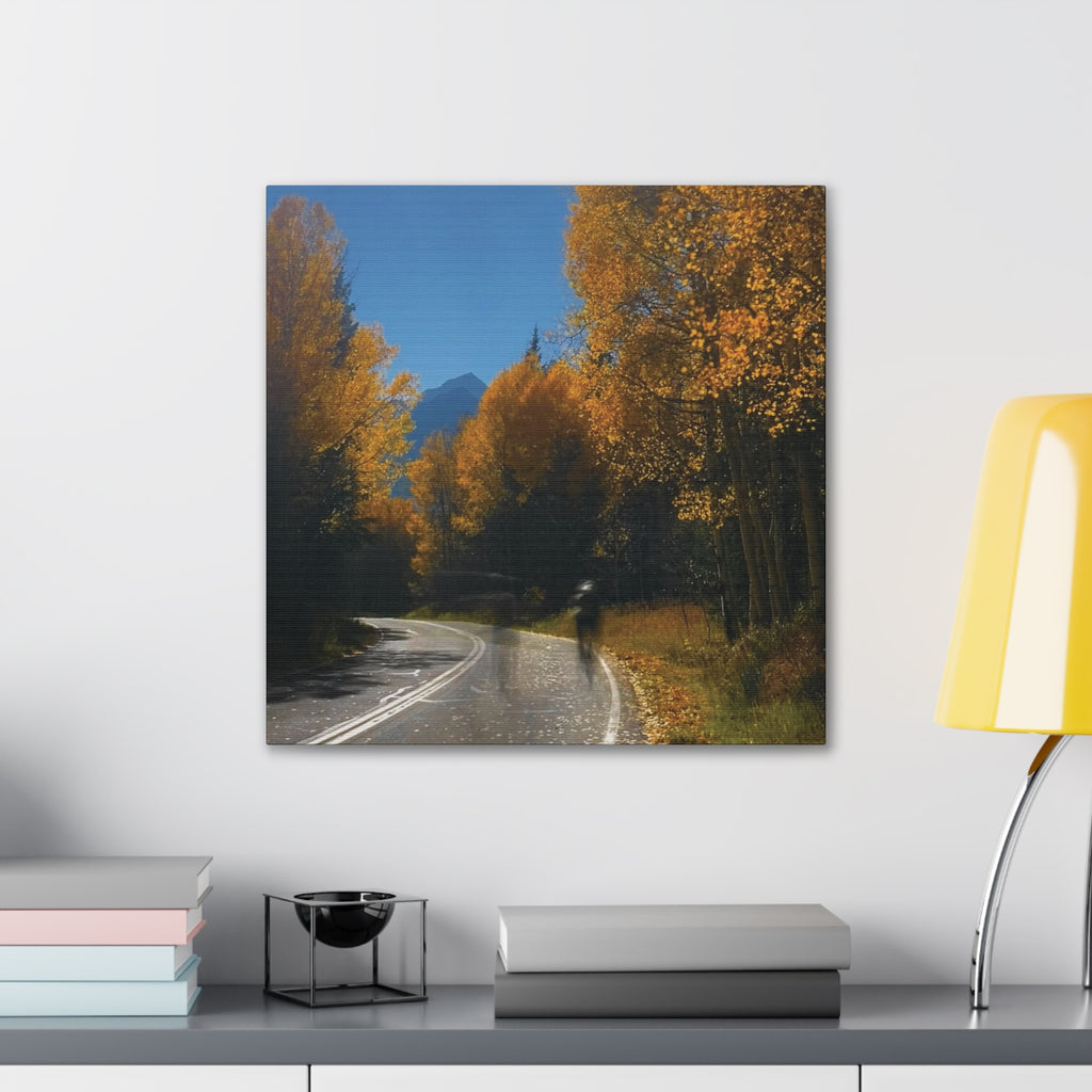 fall maroon bells and bikess