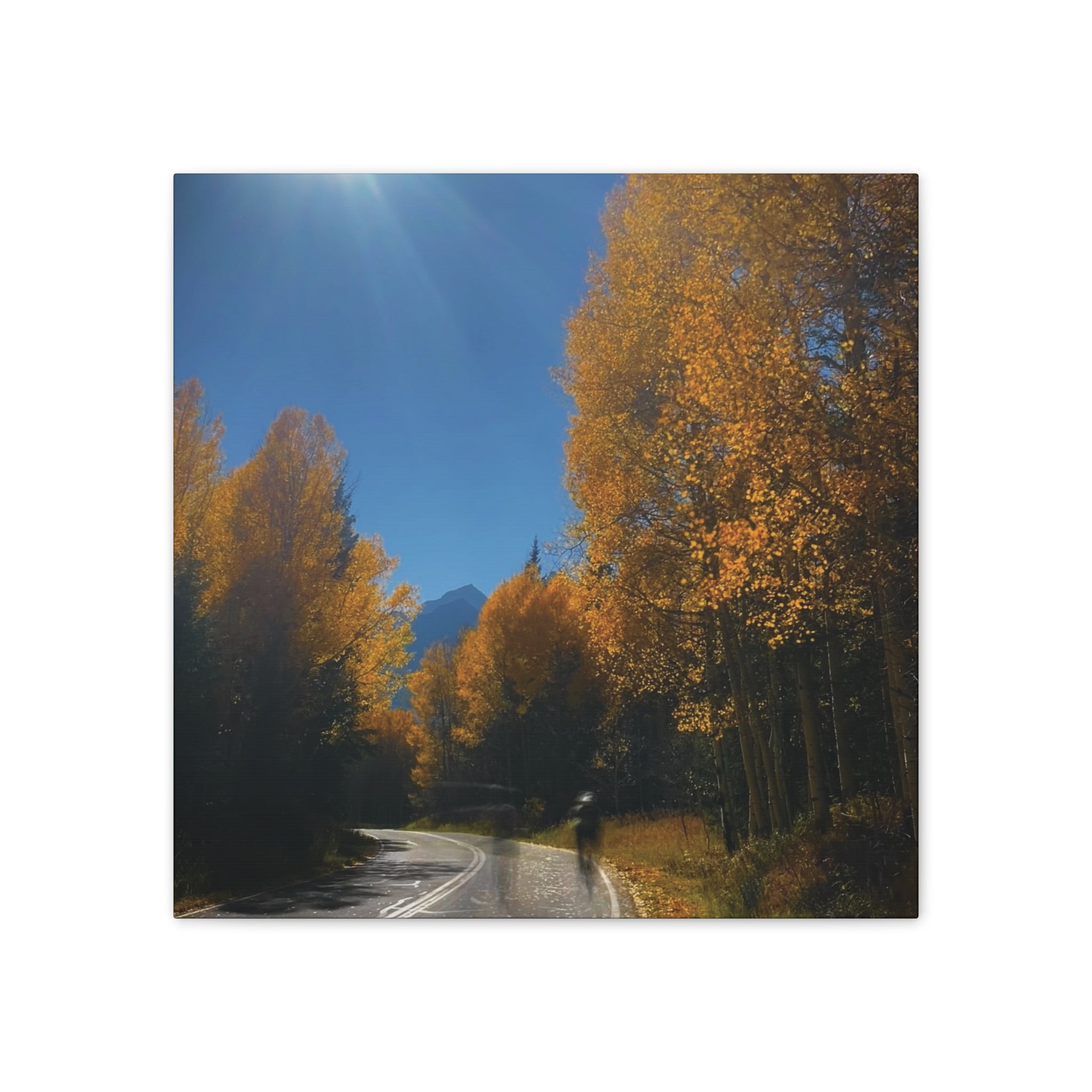 fall maroon bells and bikess