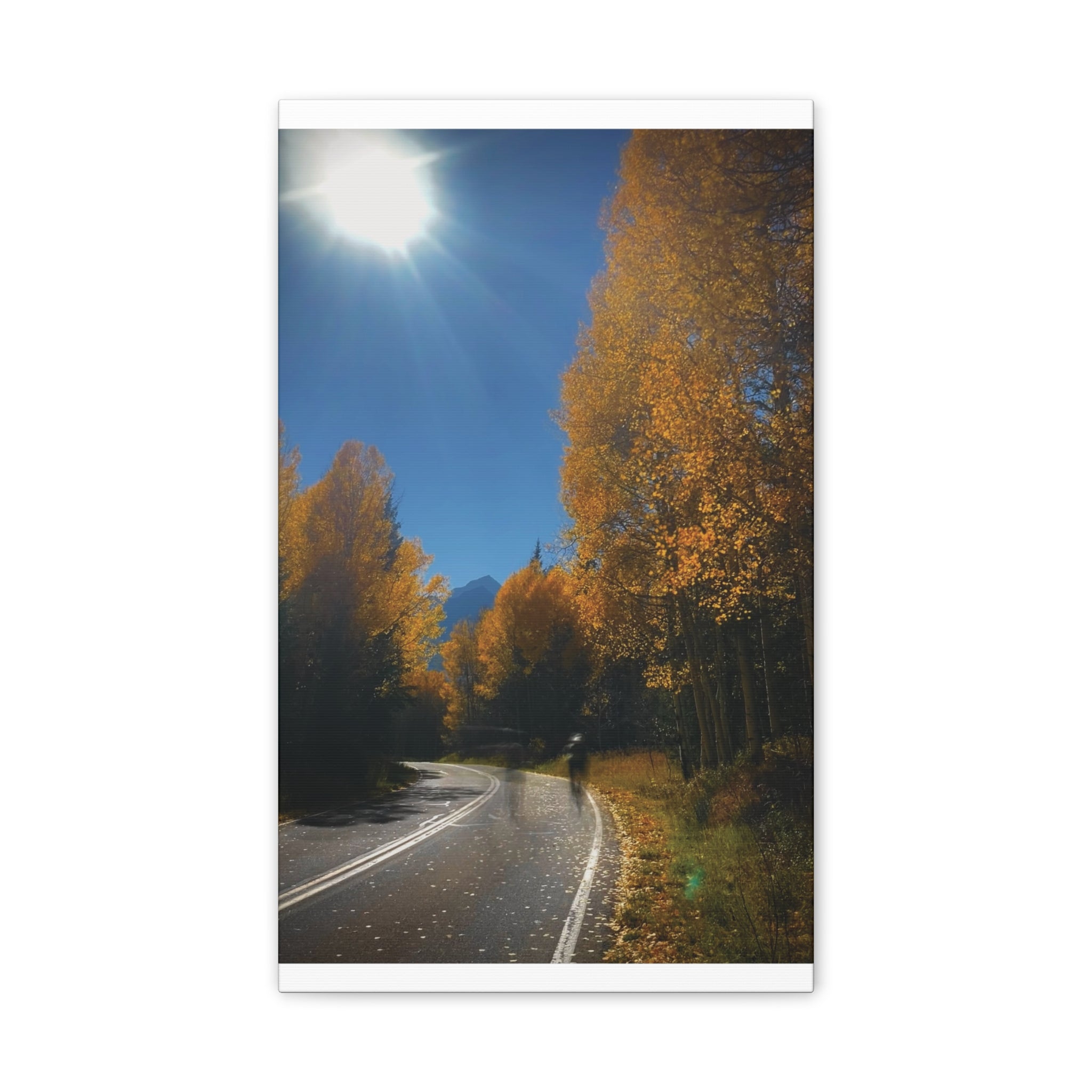 fall maroon bells and bikess