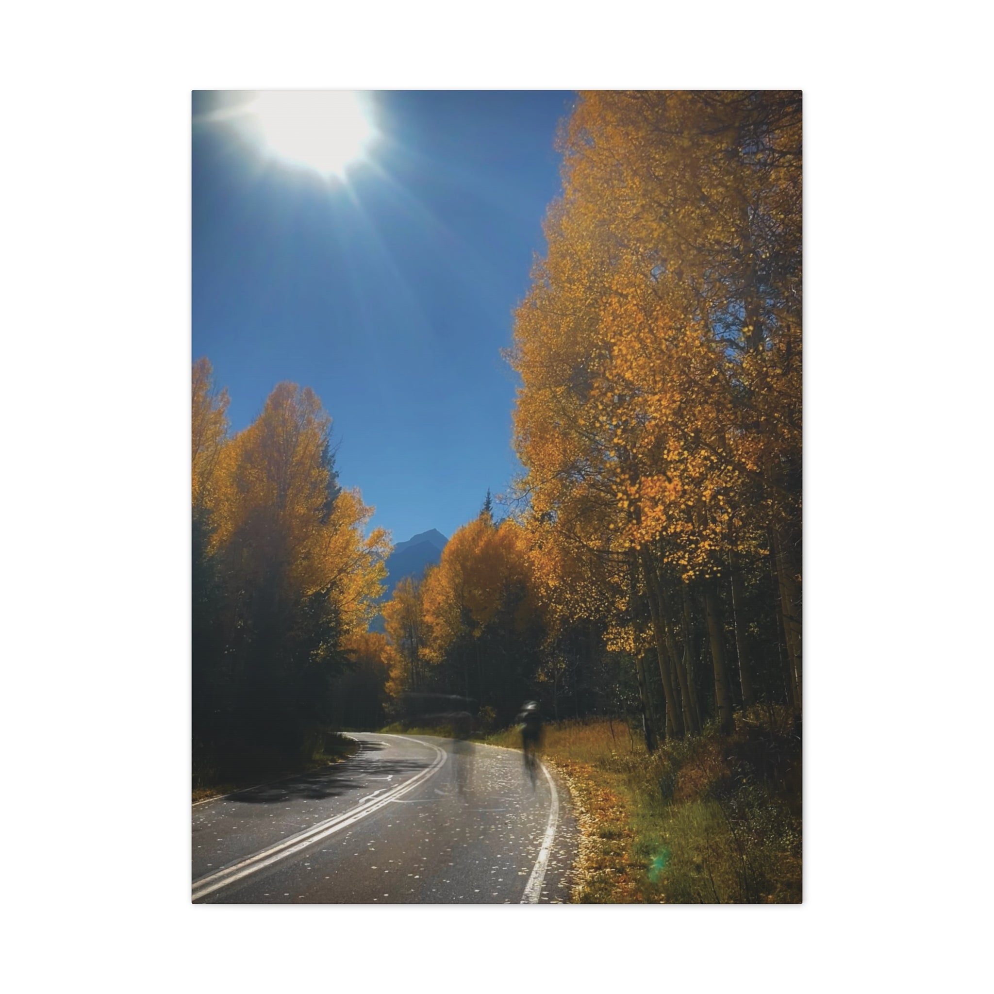 fall maroon bells and bikess