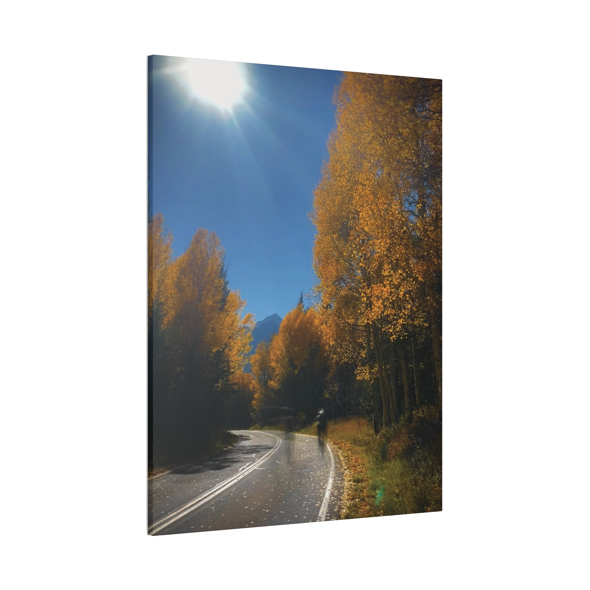 fall maroon bells and bikess