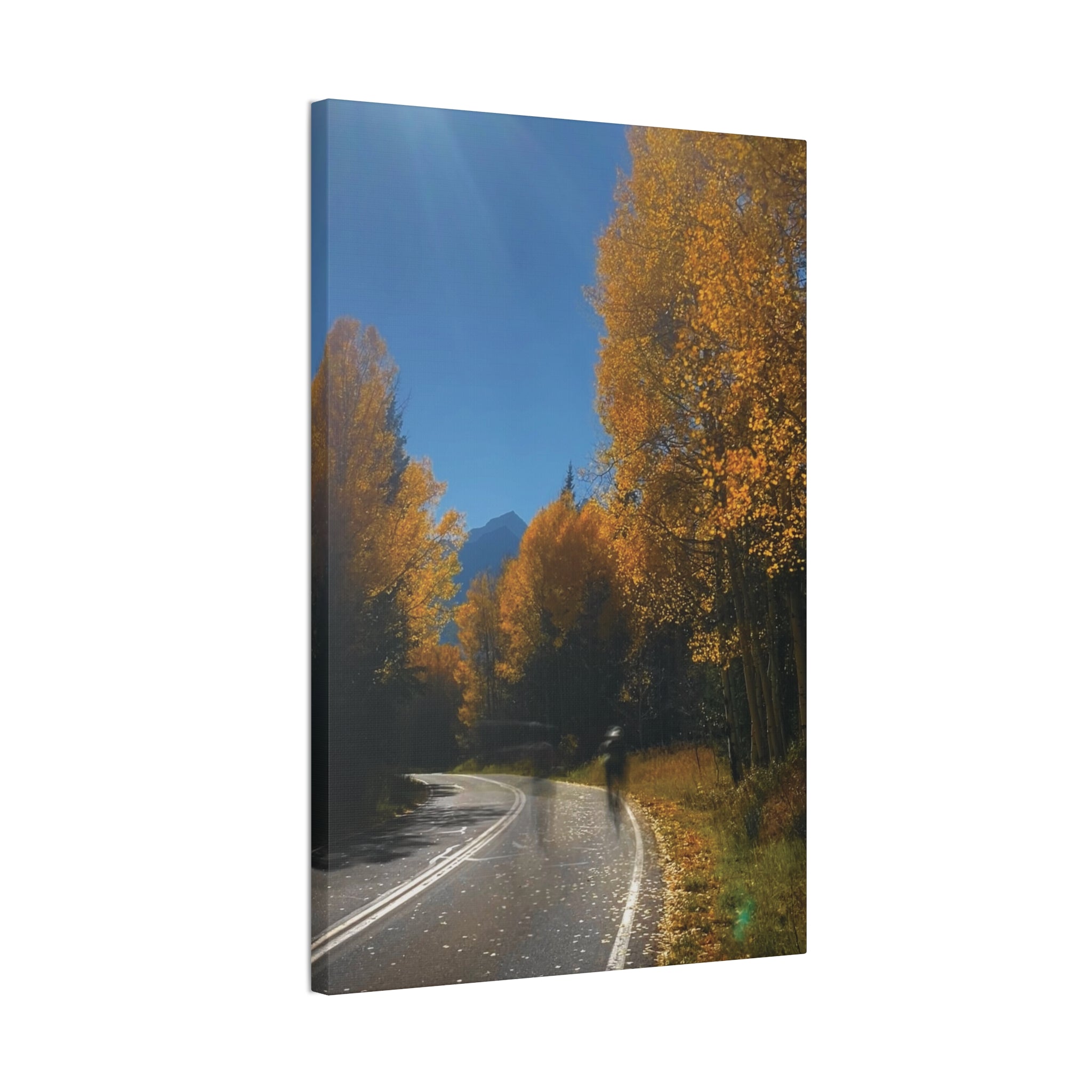 fall maroon bells and bikess