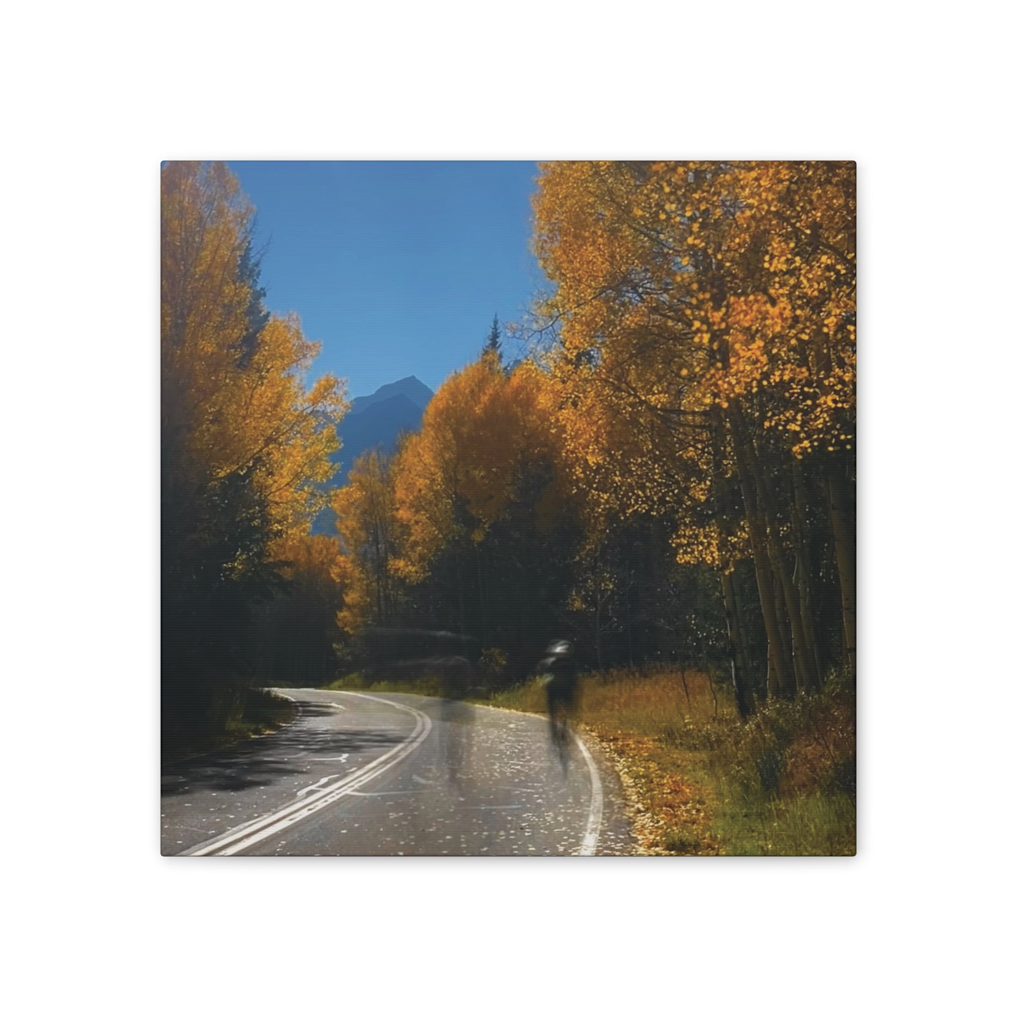 fall maroon bells and bikess