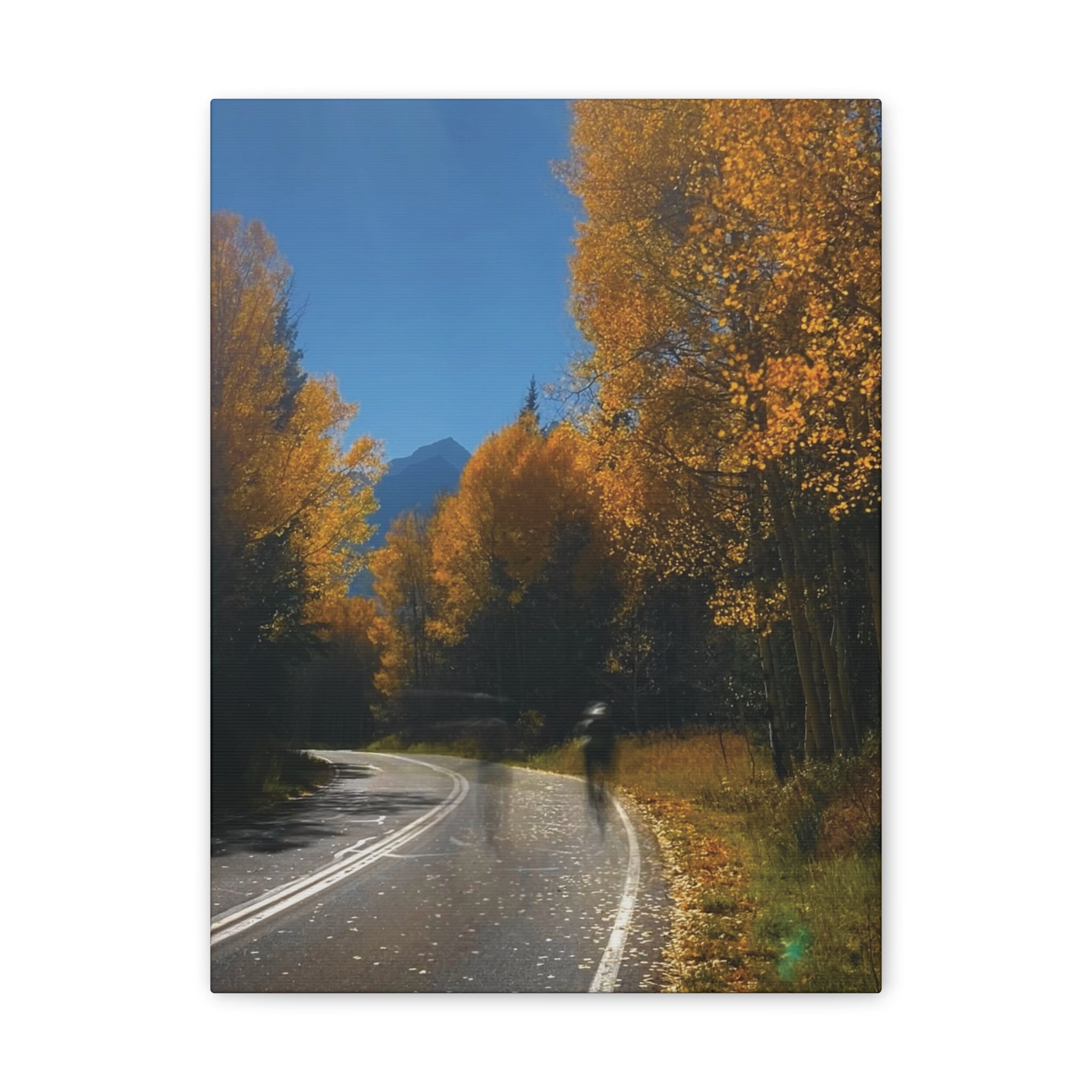 fall maroon bells and bikess