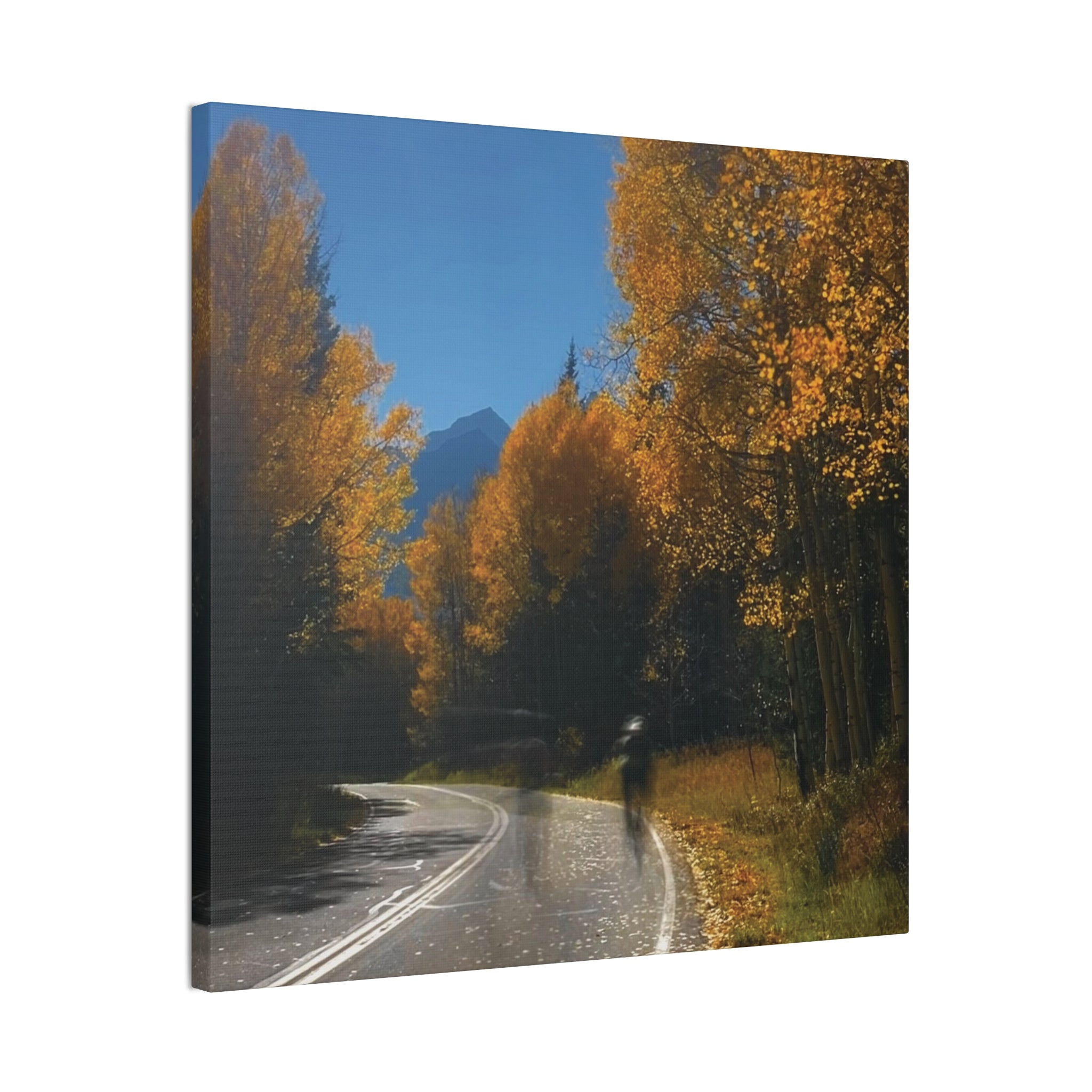 fall maroon bells and bikess