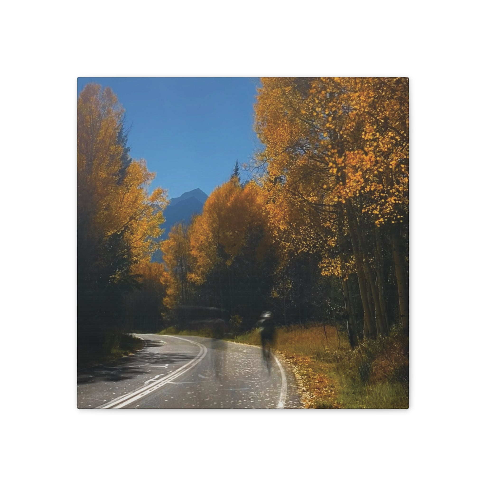 fall maroon bells and bikess