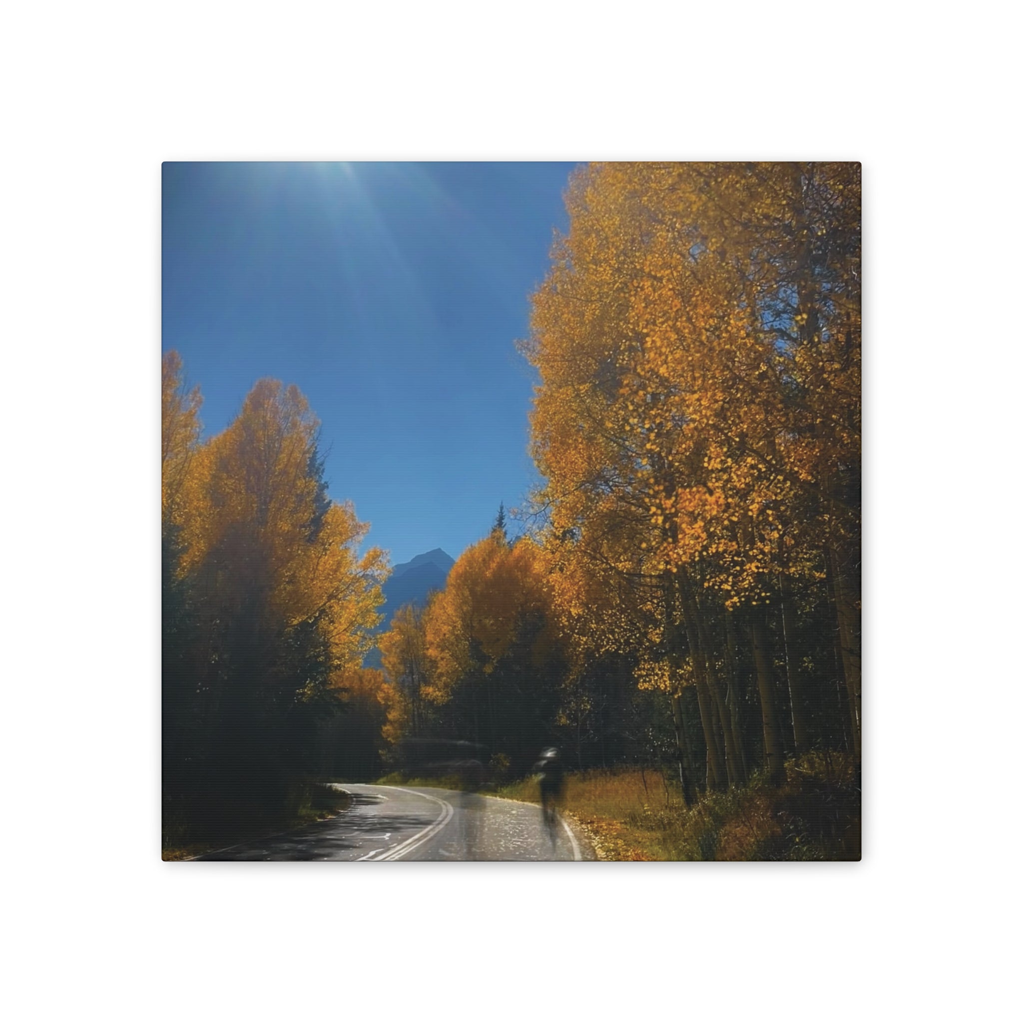 fall maroon bells and bikess