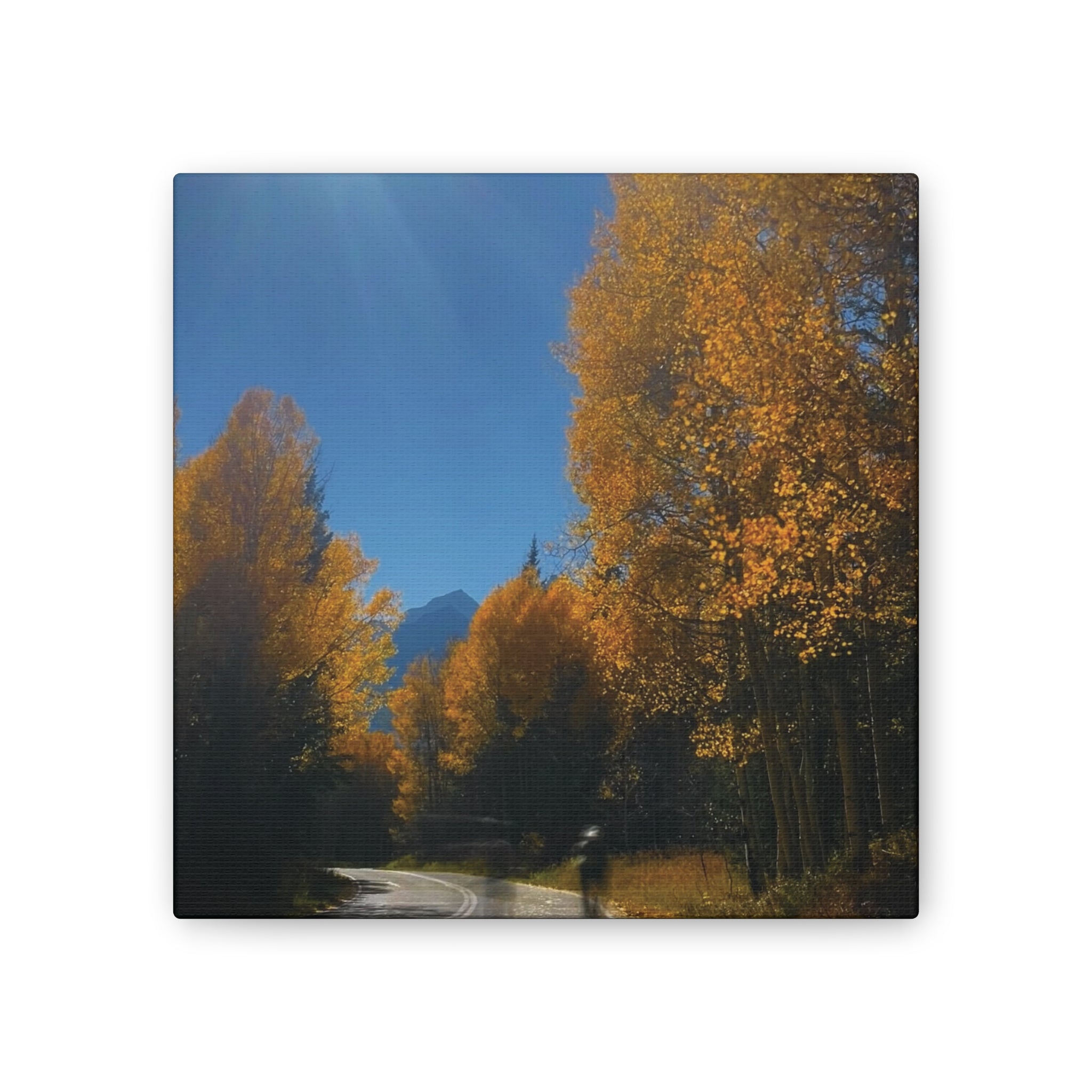fall maroon bells and bikess