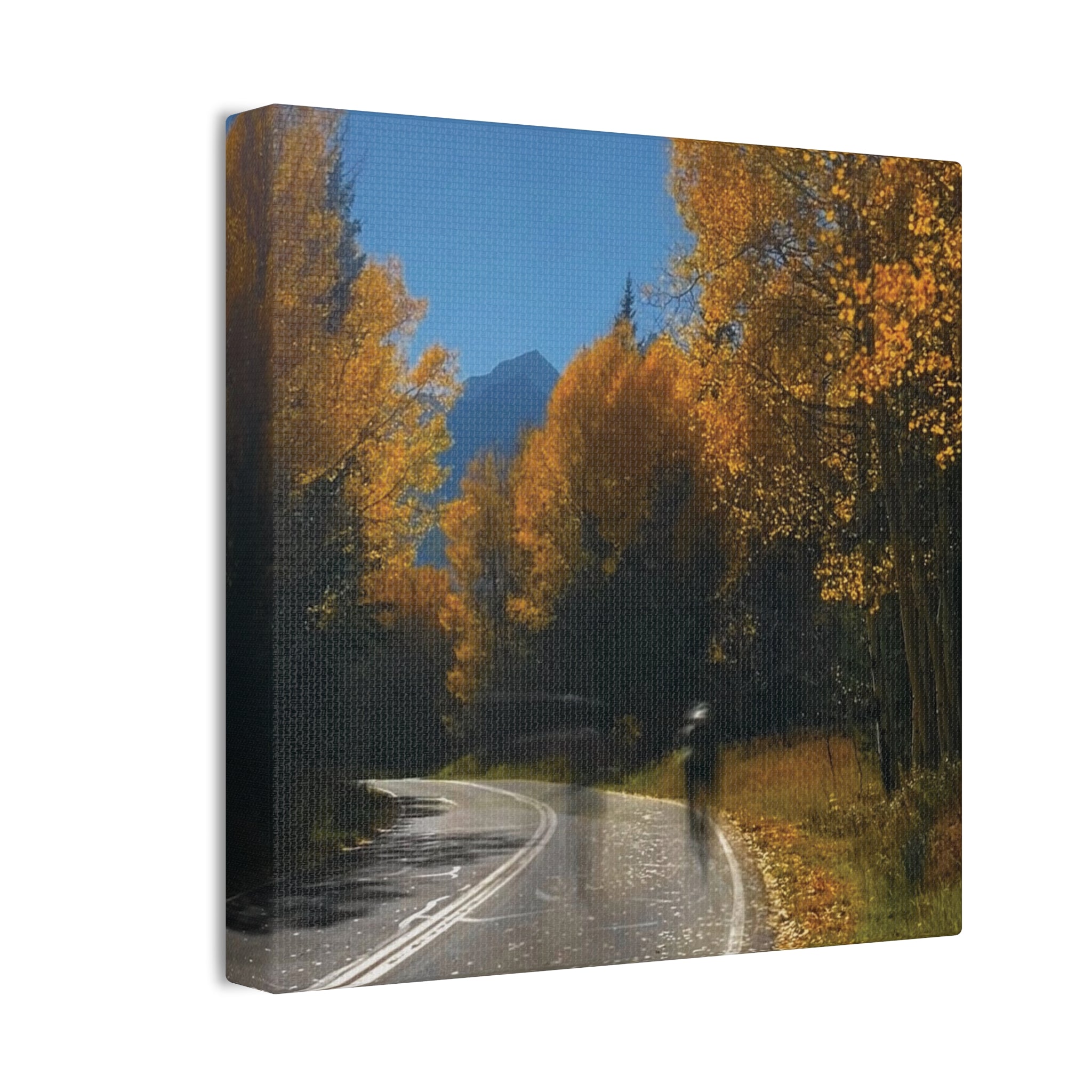 fall maroon bells and bikess