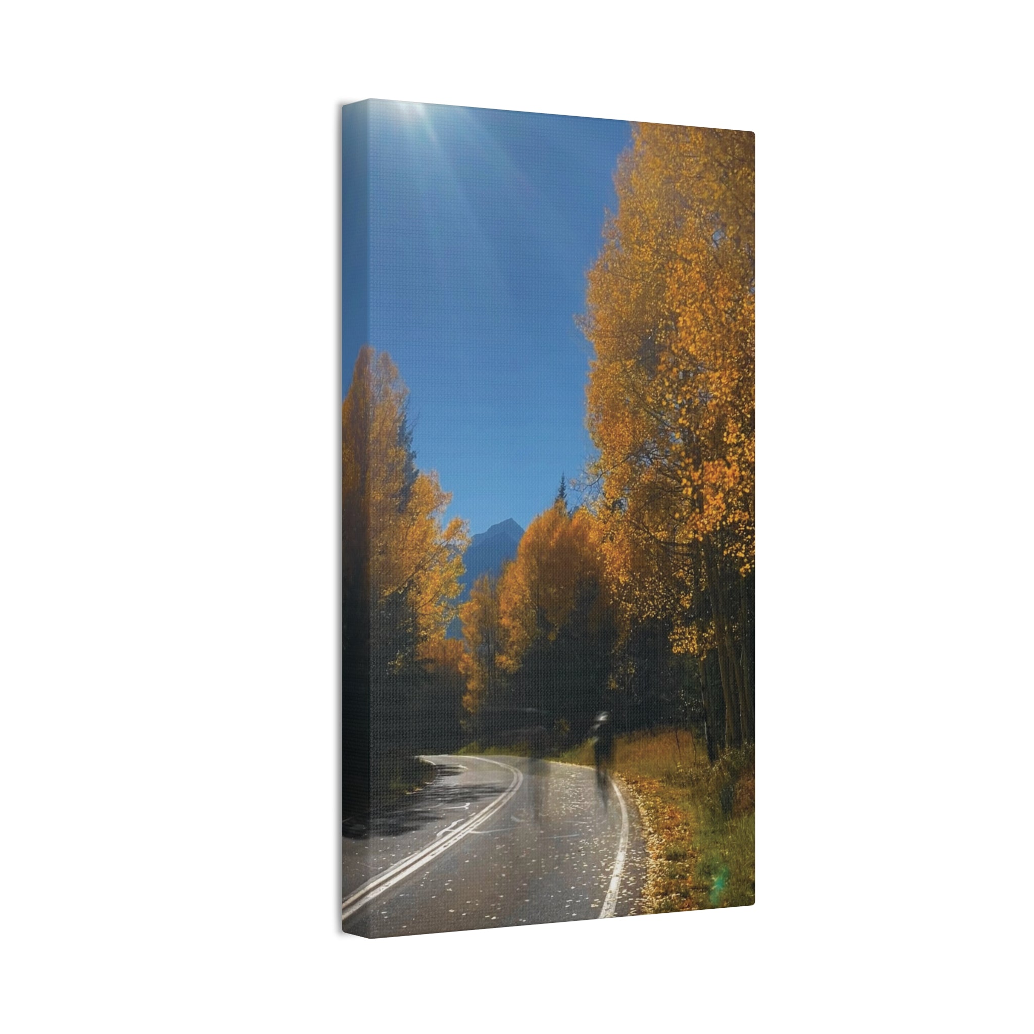 fall maroon bells and bikess