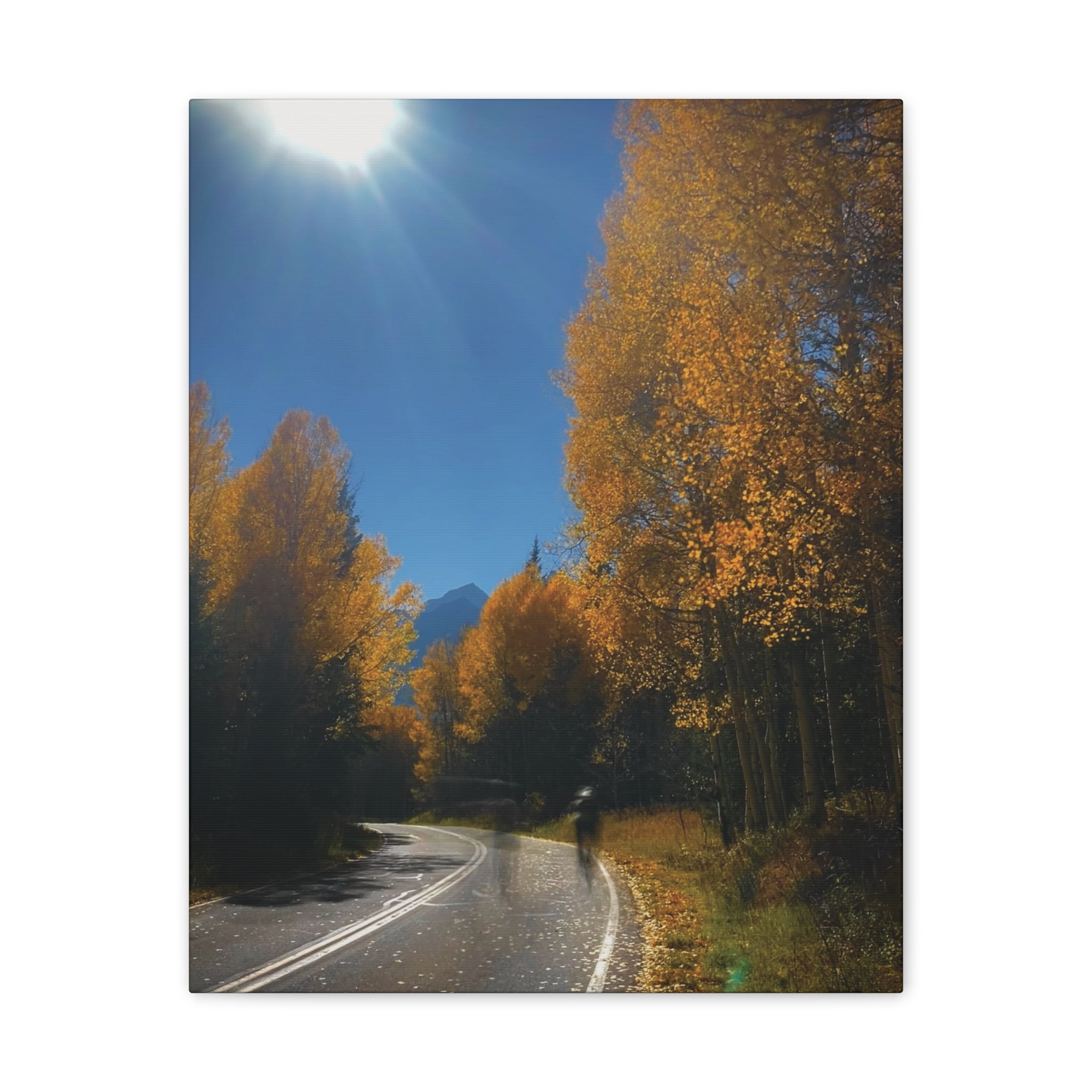 fall maroon bells and bikess